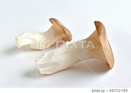 エリンギ 39752784