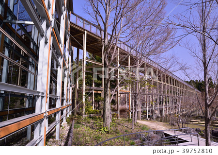 下から見た観月橋 下から見た観月橋 39752810