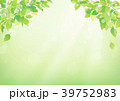 背景　緑　植物 39752983