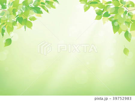 背景 緑 植物のイラスト素材