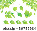 背景素材　植物 39752984