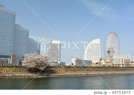 横浜 横浜 39753075