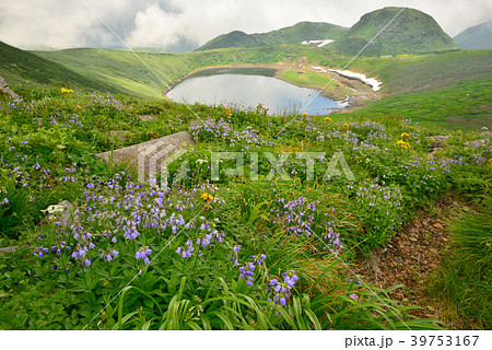 夏の鳥海山 39753167