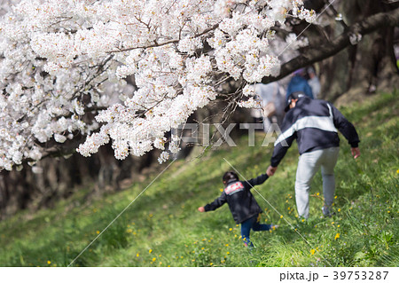 桜の木の下ではしゃぐ親子 桜の木の下ではしゃぐ親子 39753287