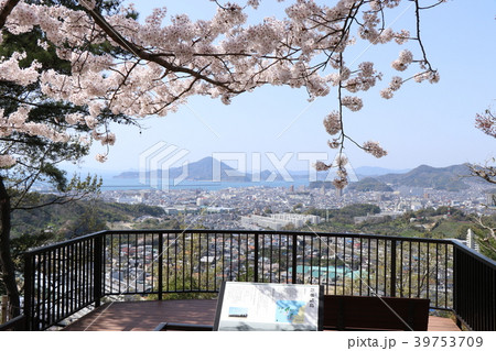 松山総合公園展望台から見た風景 松山総合公園展望台から見た風景 39753709