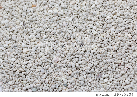 cat toiled sand cat toiled sand 39755504