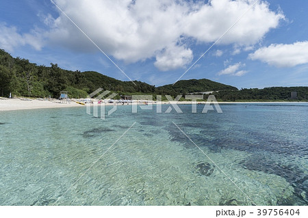 美しい海  沖縄 慶良間諸島 座間味島 古座間味ビーチ 39756404