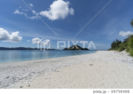 美しい海 沖縄 慶良間諸島 座間味島 古座間味ビーチ 美しい海 沖縄 慶良間諸島 座間味島 古座間味ビーチ 39756406