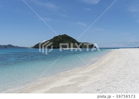 美しい海  沖縄 慶良間諸島 座間味島 古座間味ビーチ 美しい海  沖縄 慶良間諸島 座間味島 古座間味ビーチ 39756573