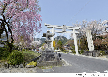 日吉大社　鳥居 39757524