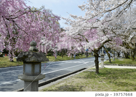 日吉馬場 39757668