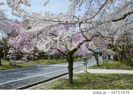 日吉馬場 39757670