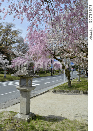 日吉馬場 39757673