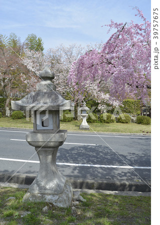 日吉馬場 39757675