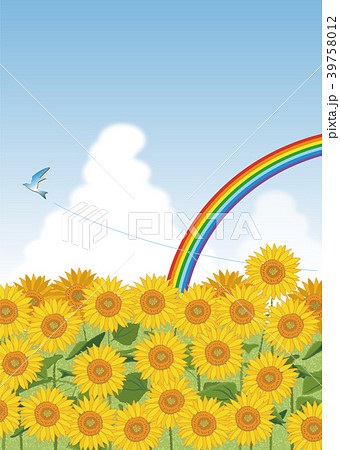 ヒマワリ畑 青空と虹と鳥（縦）のイラスト素材 [39758012] - PIXTA