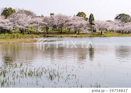 駕与丁公園 39758837