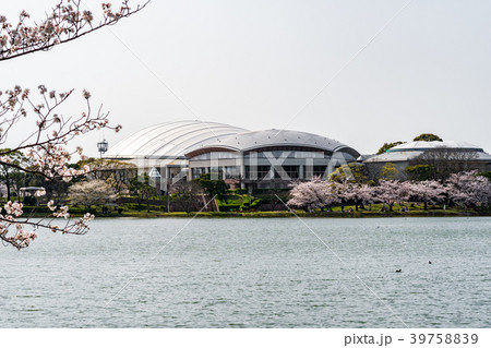 駕与丁公園 駕与丁公園 39758839