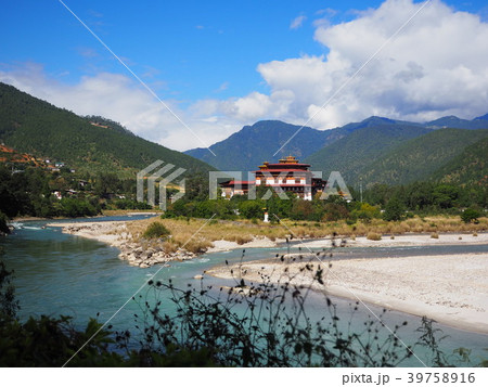 プナカゾン 39758916