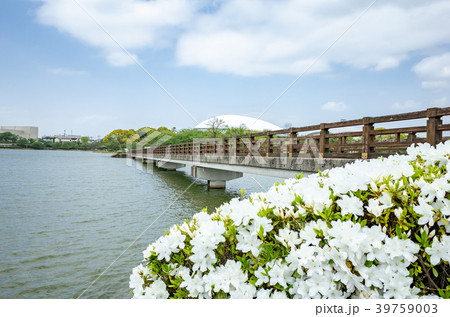 駕与丁公園 39759003