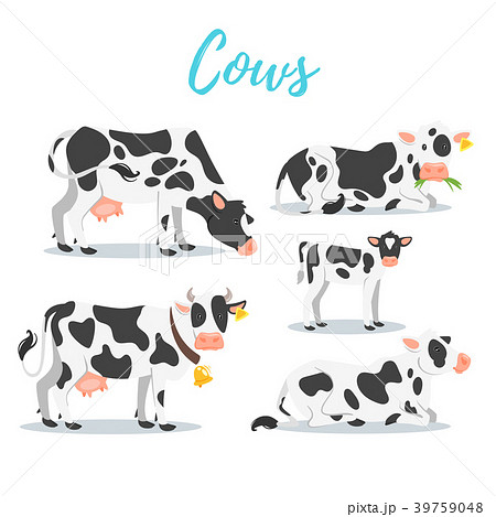 Set Of Cowsのイラスト素材