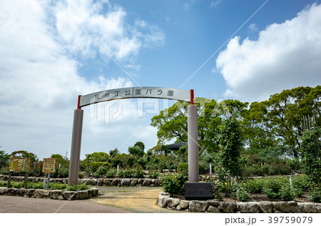 駕与丁公園 39759079