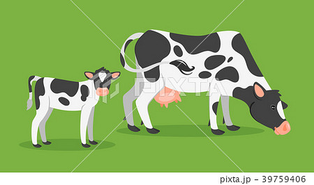cow with calf cow with calf 39759406
