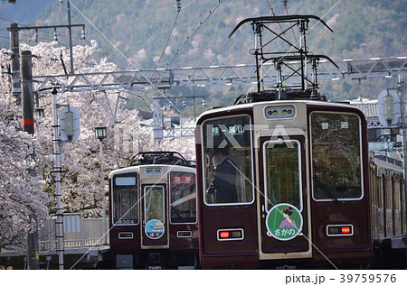 嵐山駅の桜 39759576