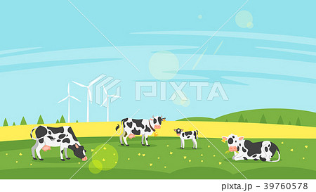 cows graze in a field 39760578