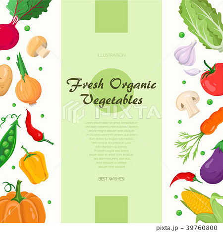 Fresh organic vegetables - modern colorful vector Fresh organic vegetables - modern colorful vector 39760800