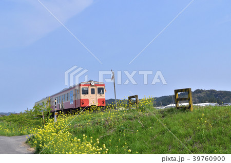 菜の花咲く第二五之町踏切を通過するいすみ鉄道 39760900