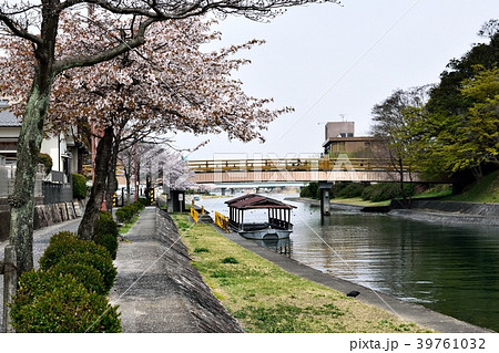 瀬田川沿いの桜 瀬田川沿いの桜 39761032