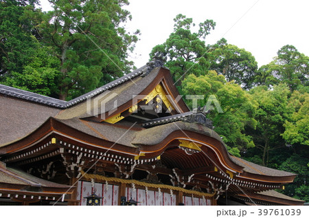 大神神社拝殿 39761039