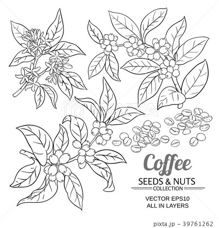 coffee vector set 39761262
