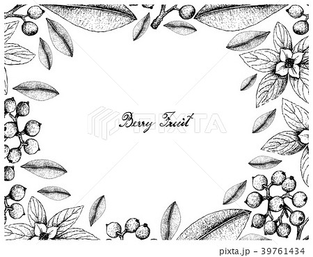 Bunchberry and Carallia Brachiata Fruits 39761434