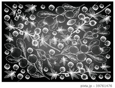 Cerasus Tianschanica Calafate Berries Chalkboard 39761476