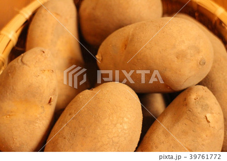 じゃがいも　ホッカイコガネ 39761772