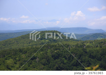 夏の手稲山から見る奥手稲山 39761965