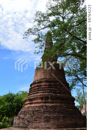 ワット・ヤイチャイモンコンの庭 39764225