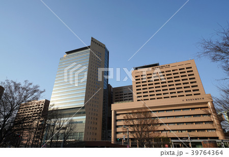 日本の東京都市景観 東京医科歯科大学などを望む 日本の東京都市景観 東京医科歯科大学などを望む 39764364