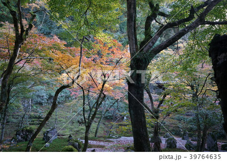 福岡県太宰府市 紅葉めぐり 日本庭園 福岡県太宰府市 紅葉めぐり 日本庭園 39764635
