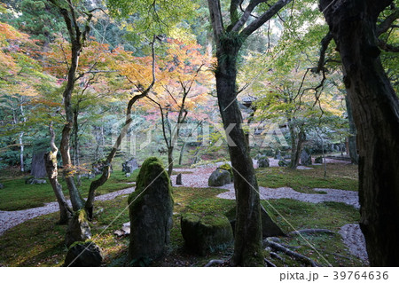 福岡県太宰府市 紅葉めぐり 日本庭園 福岡県太宰府市 紅葉めぐり 日本庭園 39764636