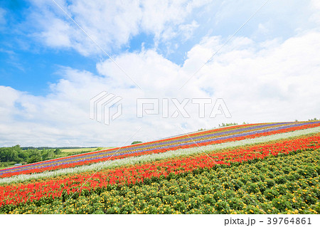 beautiful  landscape in biei 39764861