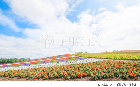 beautiful  landscape in biei 39764862