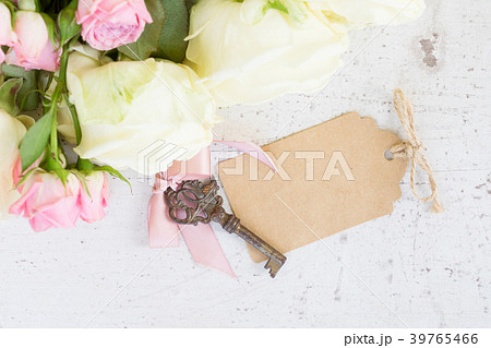 Pink and white blooming roses 39765466