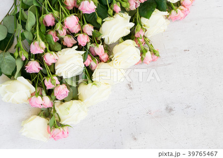 Pink and white blooming roses 39765467