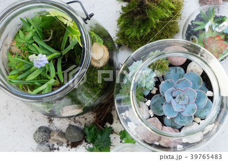 garden inside mason jar 39765483