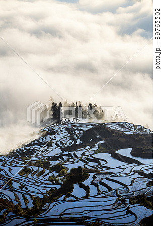 Yuanyang rice terrace at sunrise, Yunnan, China Yuanyang rice terrace at sunrise, Yunnan, China 39765502