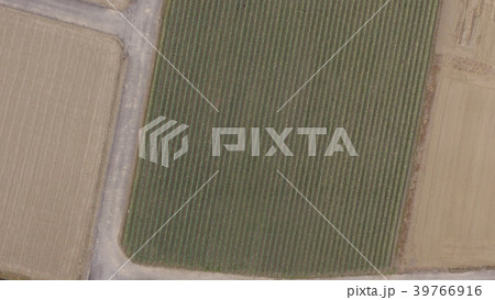 農地(埼玉県大里郡寄居町) 農地(埼玉県大里郡寄居町) 39766916