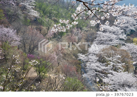 桜山公園 39767023