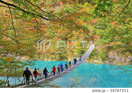 紅葉の寸又峡夢の吊り橋の写真素材